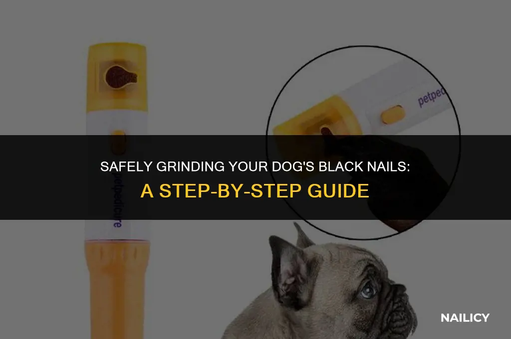 how to use a dog nail grinder on black nails