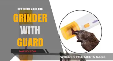 Safely Trimming Your Dog's Nails: A Guide to Using Nail Grinders with Guards