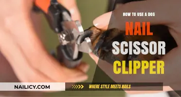 Mastering the Art of Dog Nail Trimming: A Step-by-Step Guide