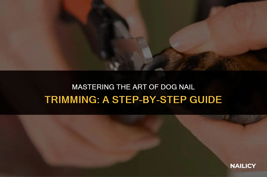 how to use a dog nail scissor clipper