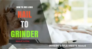 Mastering the Art of Dog Nail Grinding: A Step-by-Step Guide