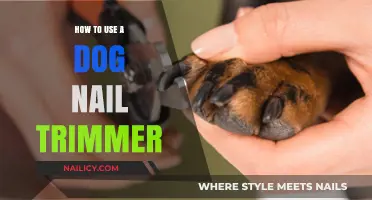 Mastering the Art of Dog Nail Trimming: A Step-by-Step Guide