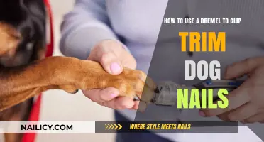 Mastering Pet Grooming: A Guide to Trimming Dog Nails with a Dremel