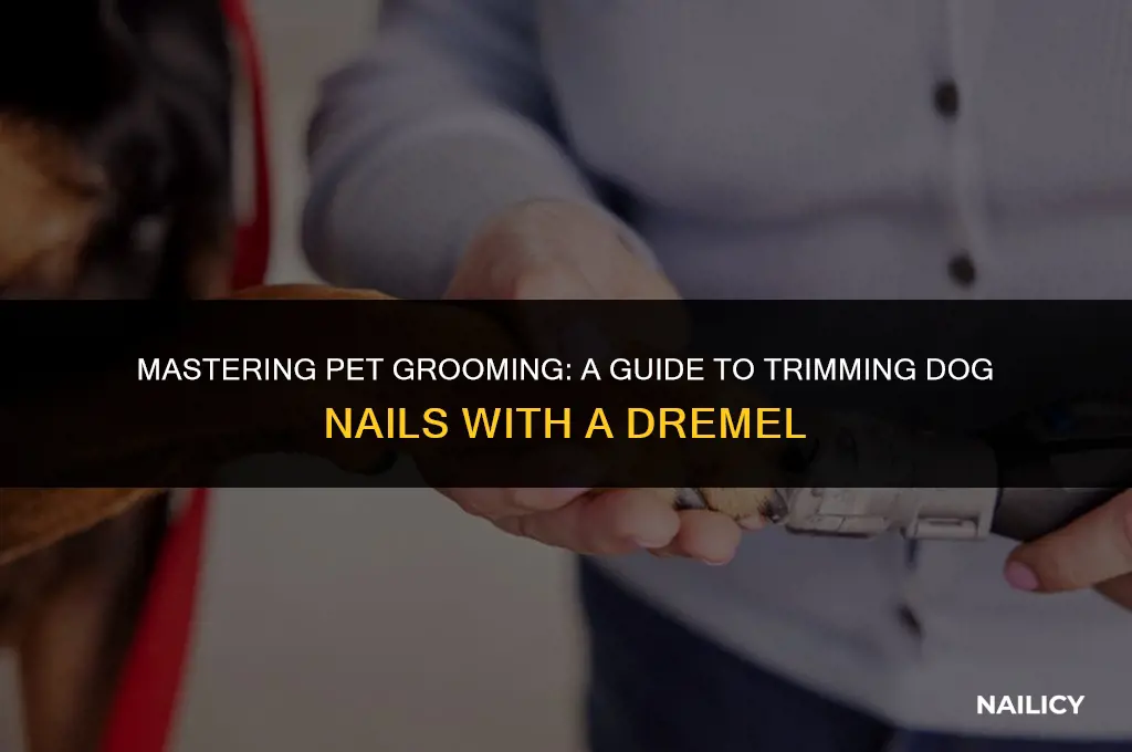 how to use a dremel to clip trim dog nails