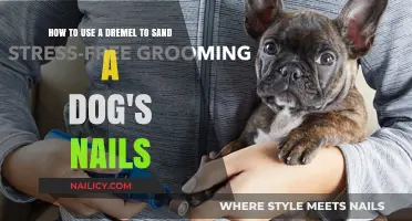 Safely Sanding Your Dog's Nails with a Dremel: A Step-by-Step Guide