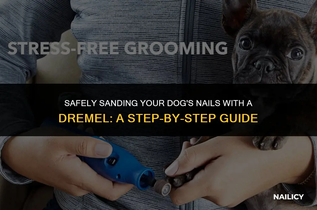 how to use a dremel to sand a dog