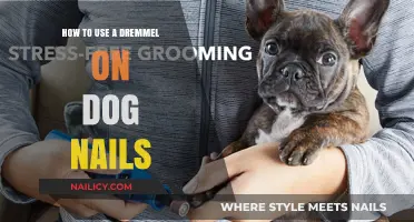 Mastering the Art of Trimming Dog Nails with a Dremel