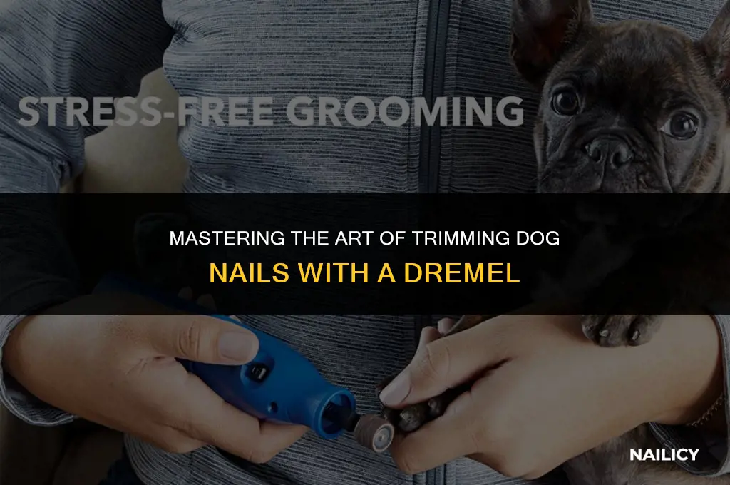 how to use a dremmel on dog nails