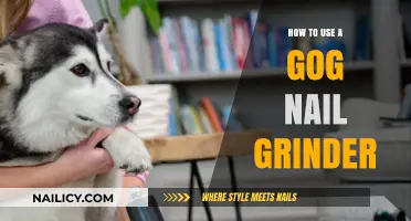 Mastering the Art of Pet Nail Care: A Guide to Using a Gog Nail Grinder