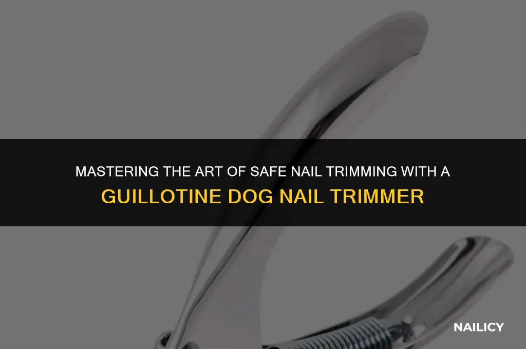 how to use a guillotine dog nail trimmer