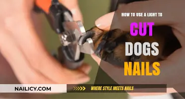 Safely Trimming Your Dog's Nails with a Specialized Light