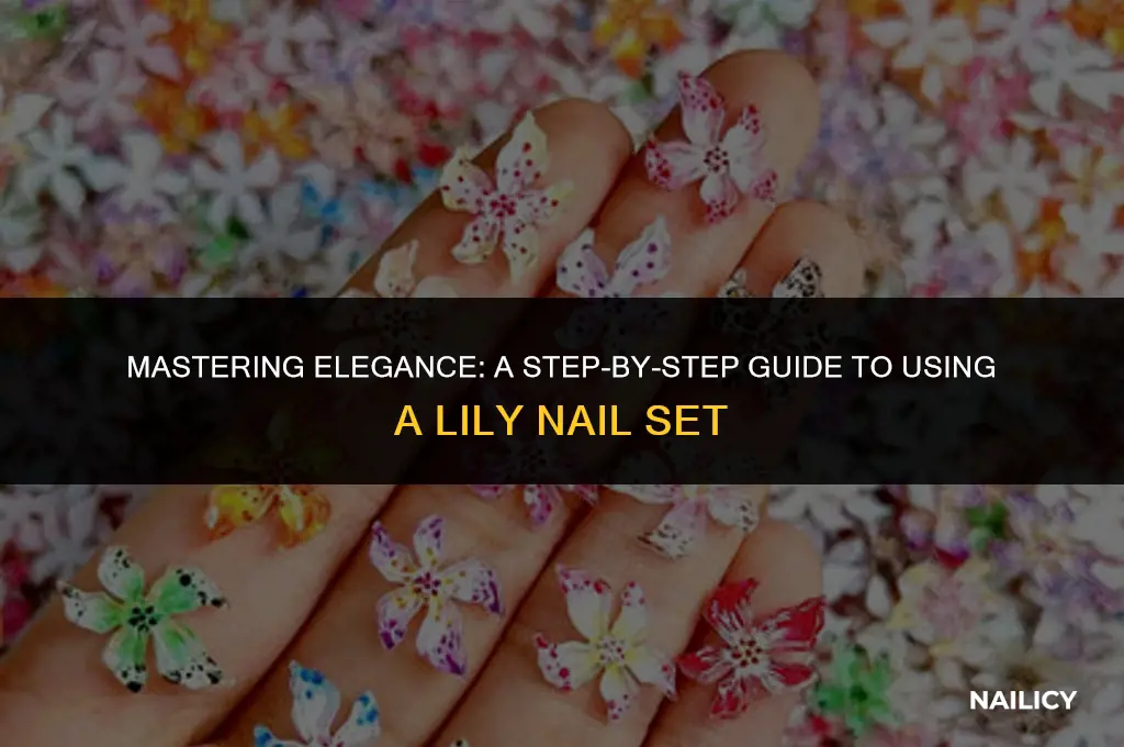 how to use a lily nail set
