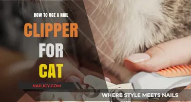 Purr-fectly Trimmed: A Guide to Safely Clipping Your Cat's Nails