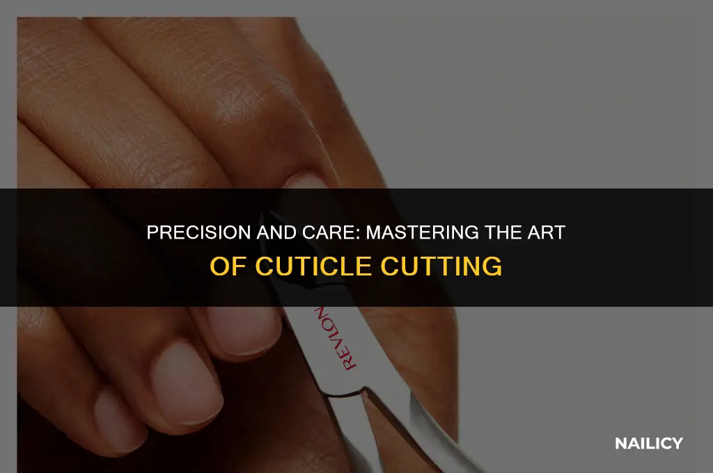 how to use a nail cuticle cutter