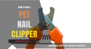 Mastering Pet Nail Care: A Step-by-Step Guide to Using Nail Clippers