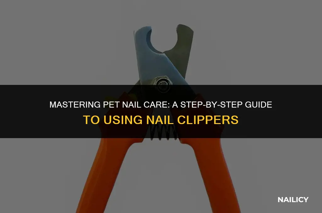 how to use a pet nail clipper