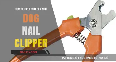 Mastering the Art of Dog Nail Clipping: A Comprehensive Guide