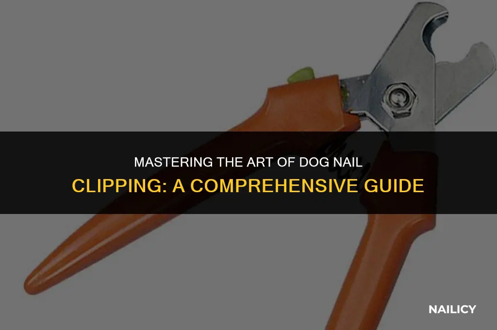 how to use a tool for your dog nail clipper