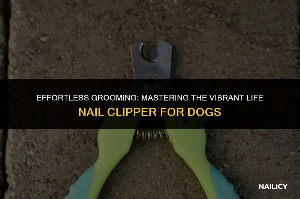how to use a vibrant life nail clipper for dogs