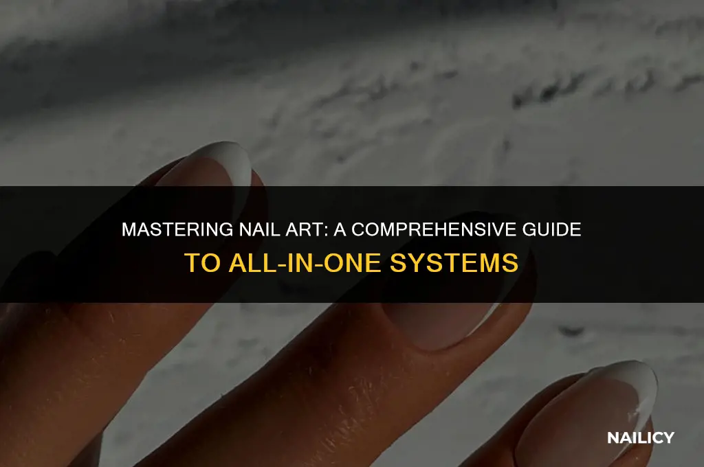 how to use all in one nail art system