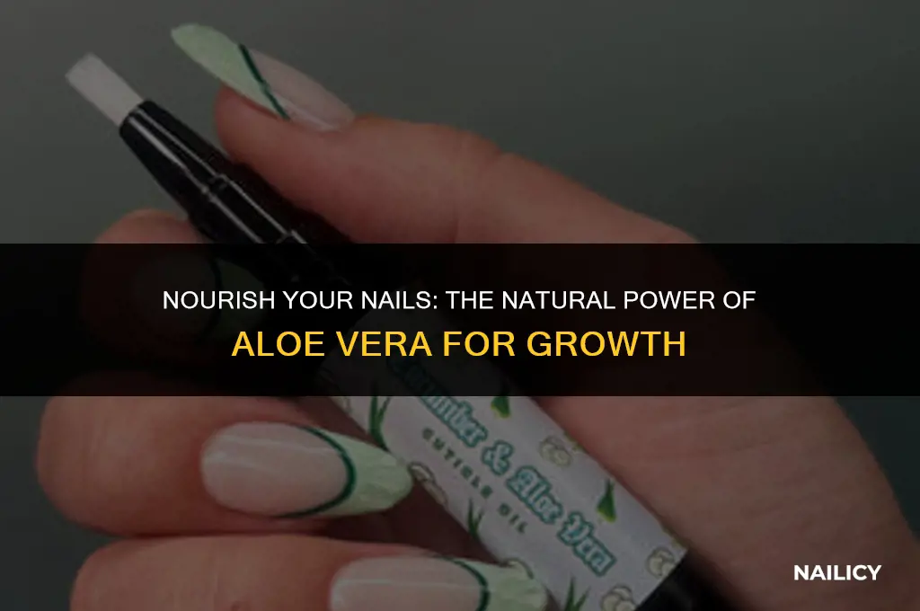 how to use aloe vera for nail growth