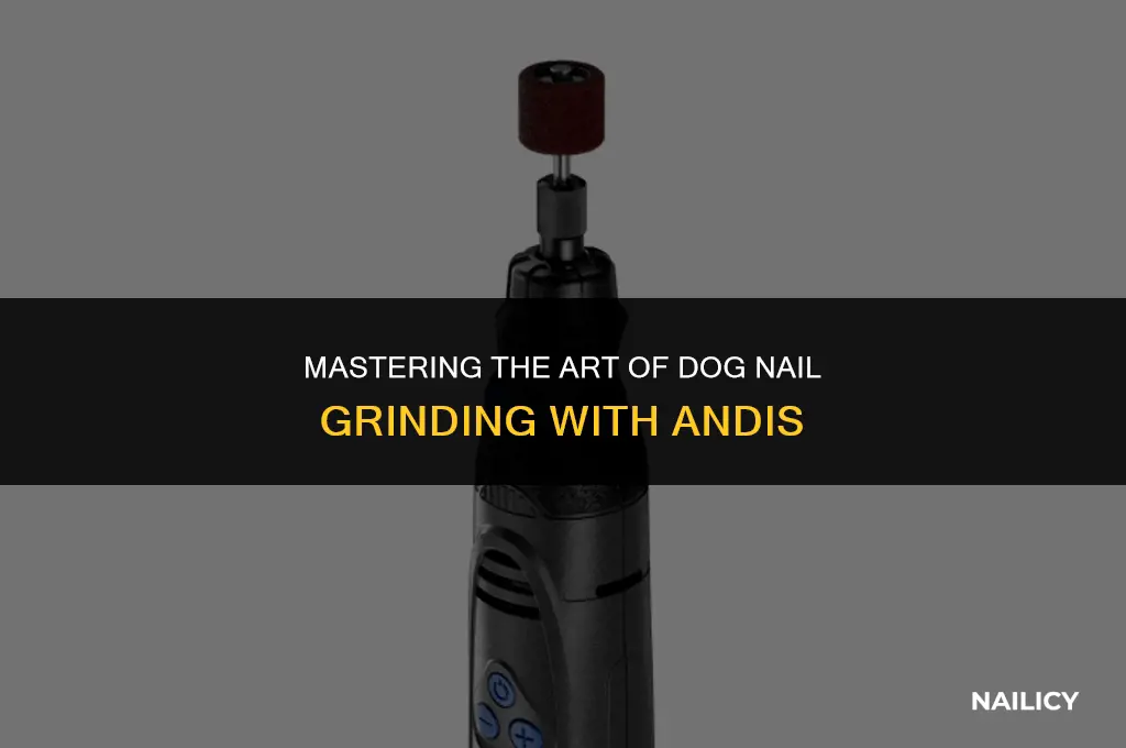 how to use andis dog nail grinder