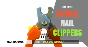 Mastering Pet Grooming: A Guide to Using Animal Nail Clippers Safely
