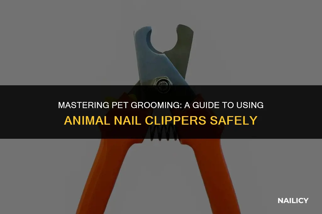 how to use animal nail clippers