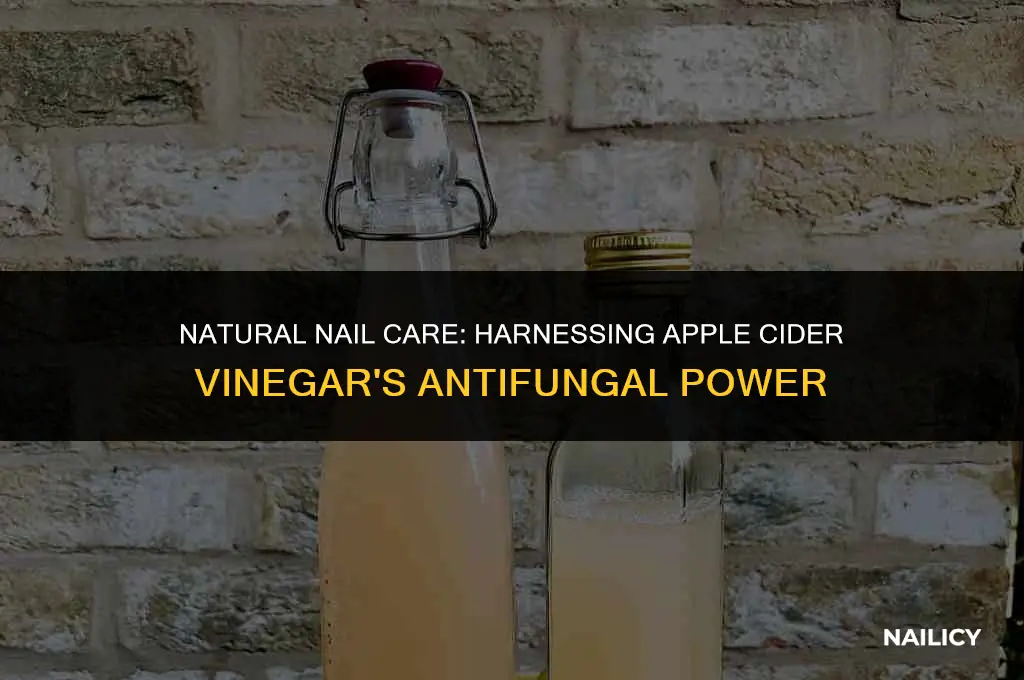 how to use apple cider vinegar for fungal nail