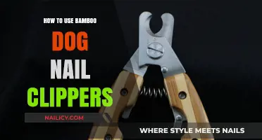 Mastering the Art of Trimming: A Guide to Bamboo Dog Nail Clippers