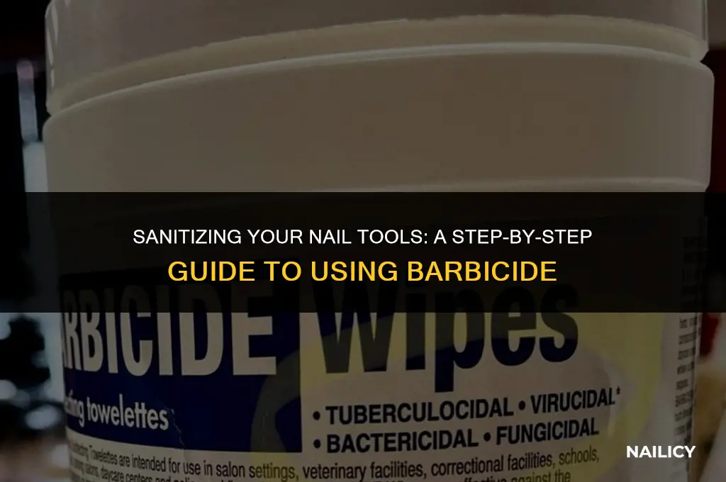 how to use barbicide on nail tools