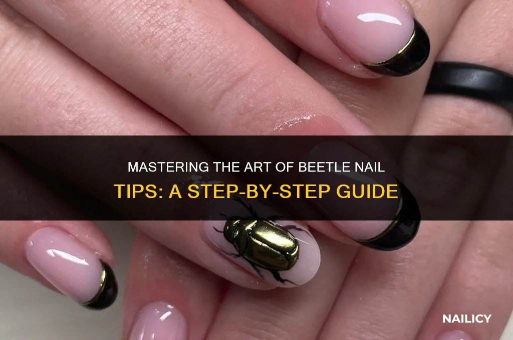 how to use beetles nail tips