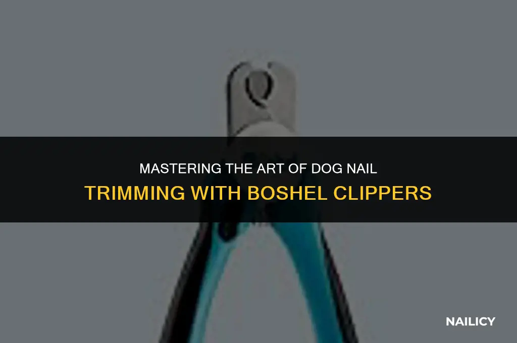 how to use boshel dog nail clippers