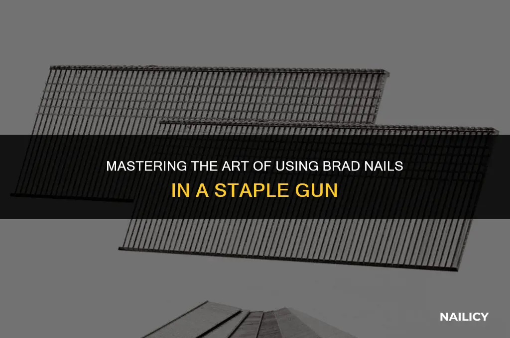 how to use brad nails in a staple gun