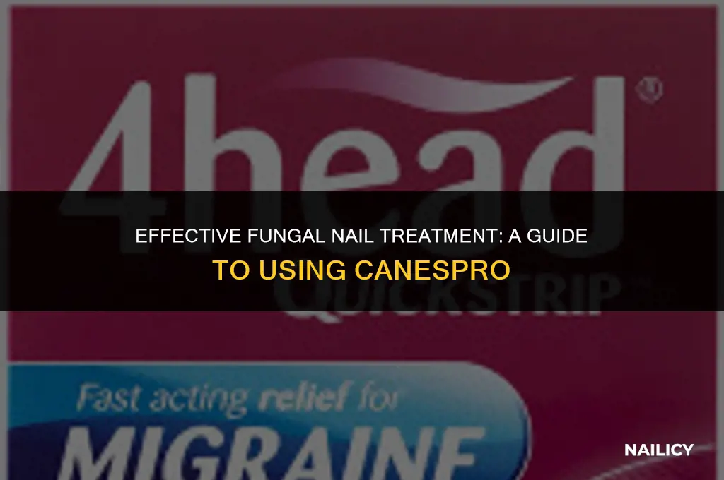 how to use canespro fungal nail treatment