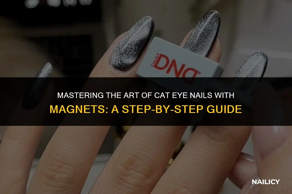 how to use cat eye nail magnet