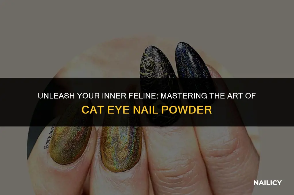 how to use cat eye nail powder