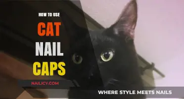 Purr-fectly Safe: A Guide to Applying Cat Nail Caps