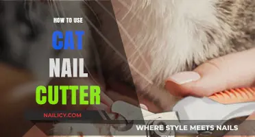 Purr-fectly Trimmed: A Guide to Using Cat Nail Cutters Safely