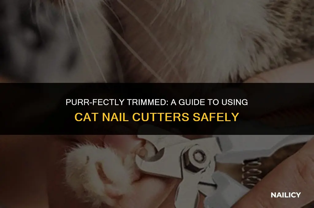 how to use cat nail cutter