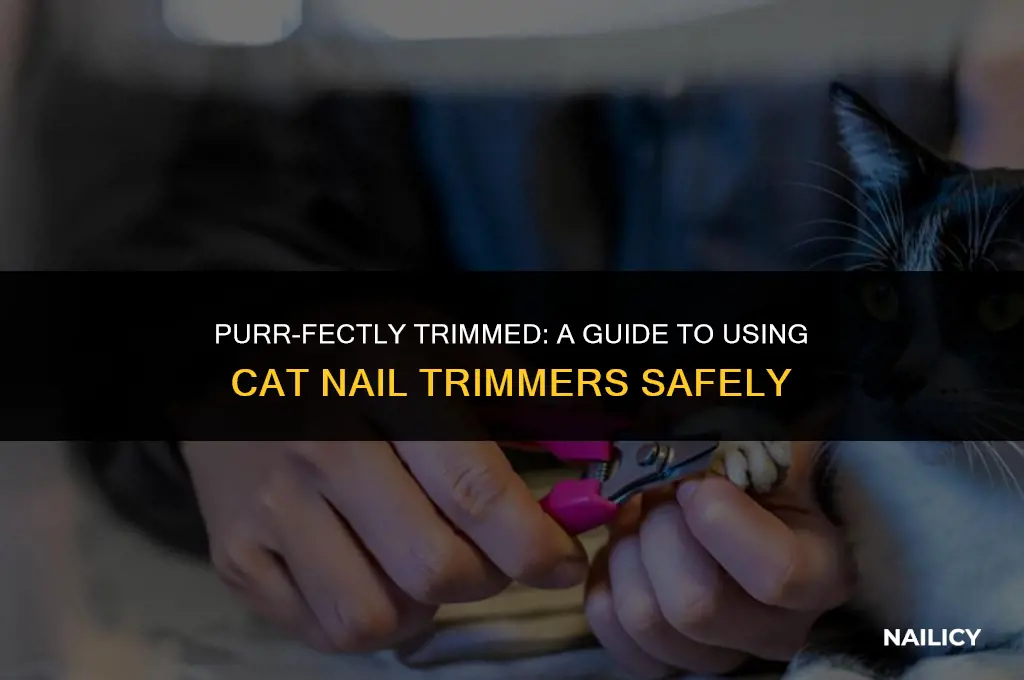 how to use cat nail trimmers