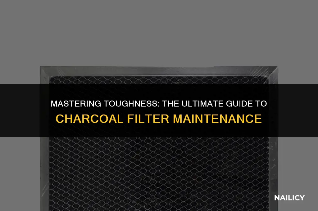 how to use charcoal filter tough as nails
