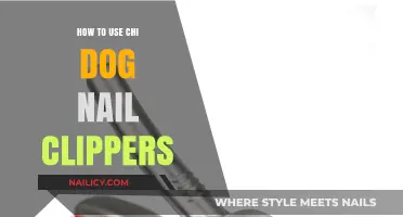 Mastering the Art of Chi Dog Nail Care: A Step-by-Step Guide