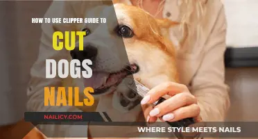 Mastering the Art of Dog Nail Trimming with Clipper Guides