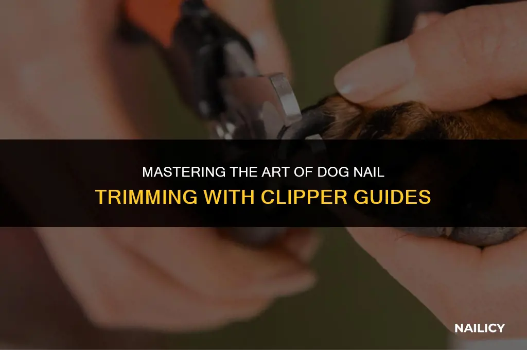 how to use clipper guide to cut dogs nails