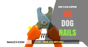 Mastering the Art of Trimming Your Dog's Nails with Clippers