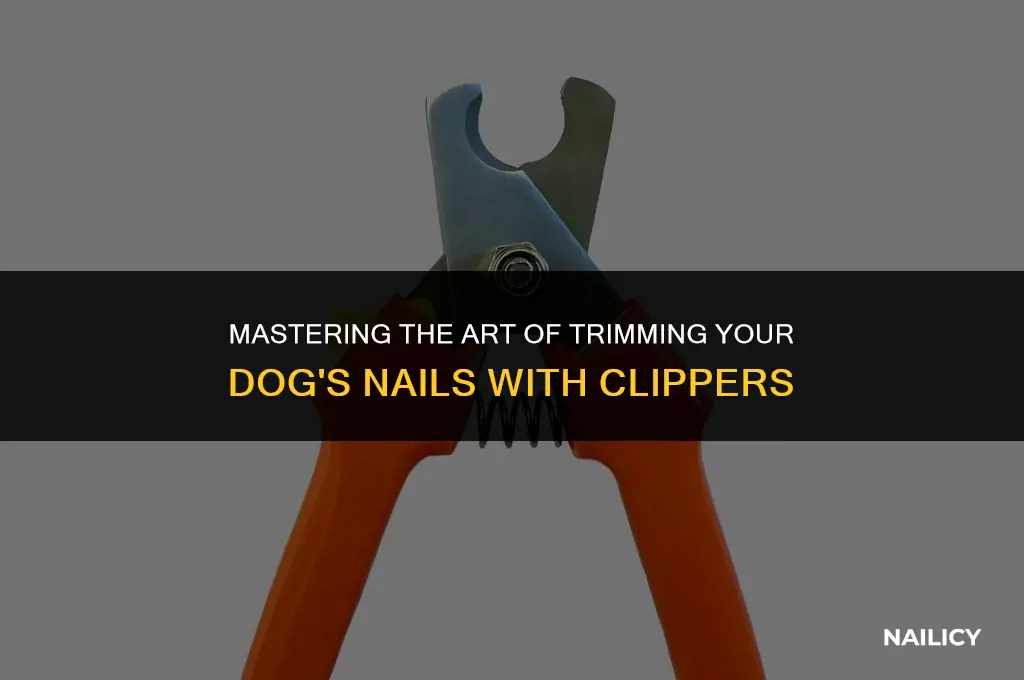 how to use clippers on dog nails