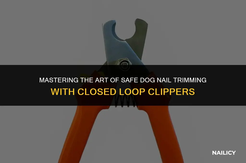 how to use closed loop dog nail clippers