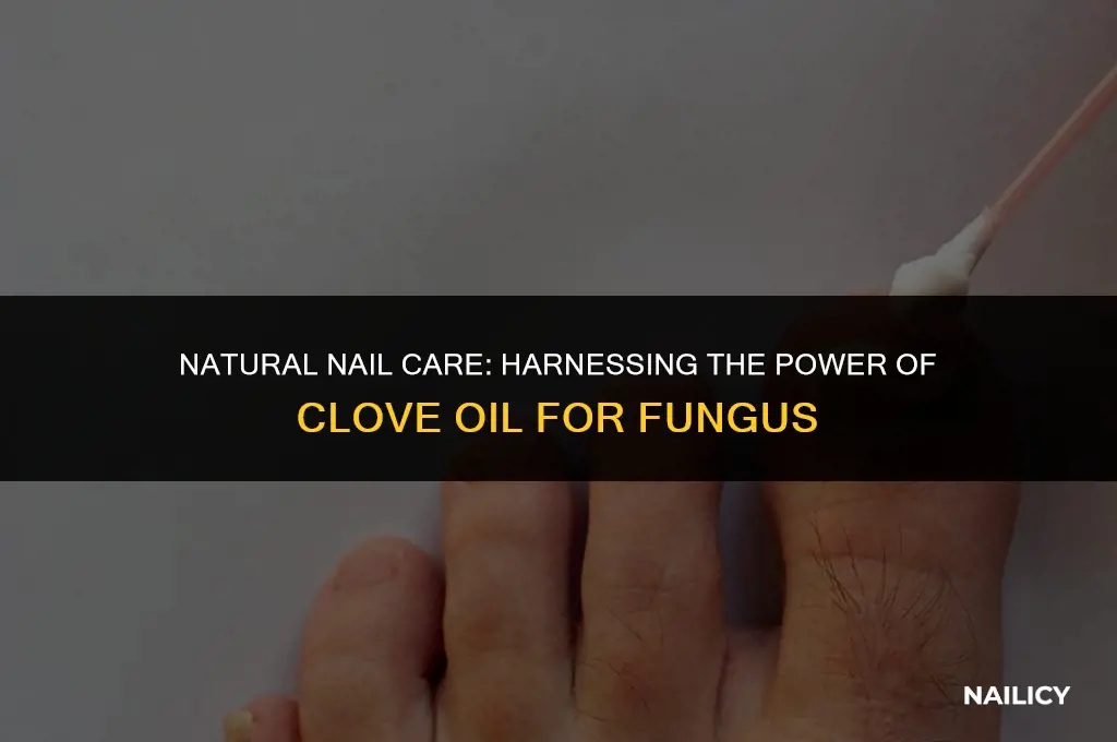 how to use clove oil for nail fungus