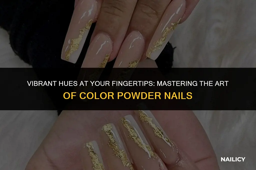 how to use color powder for nails